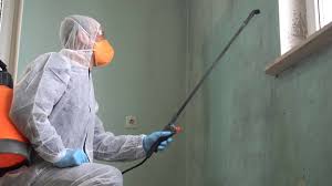 Why You Should Choose Our Mold Remediation Services in Forest City, PA